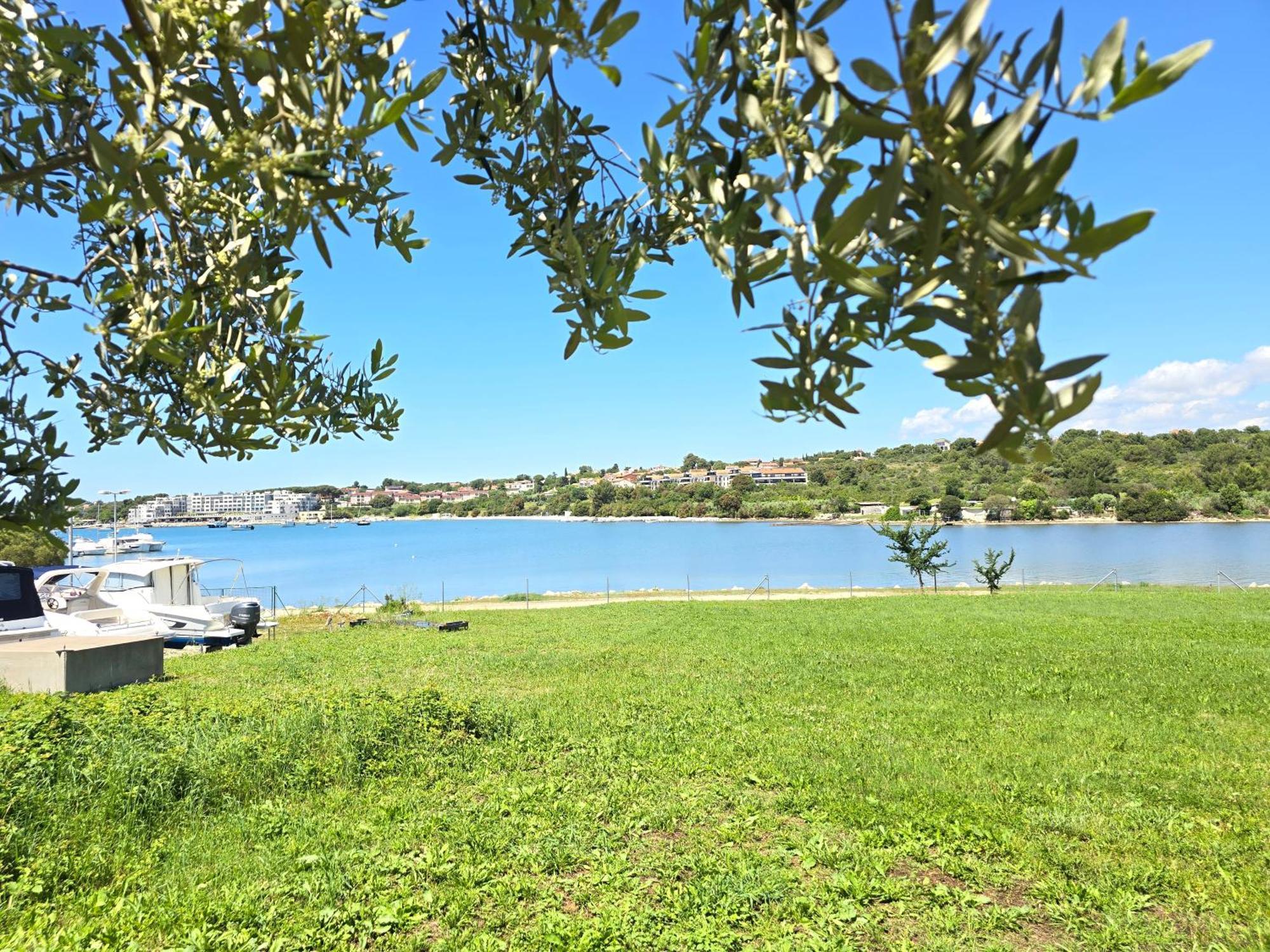 Olive Garden, Apartment With A Private Pool بنجول المظهر الخارجي الصورة